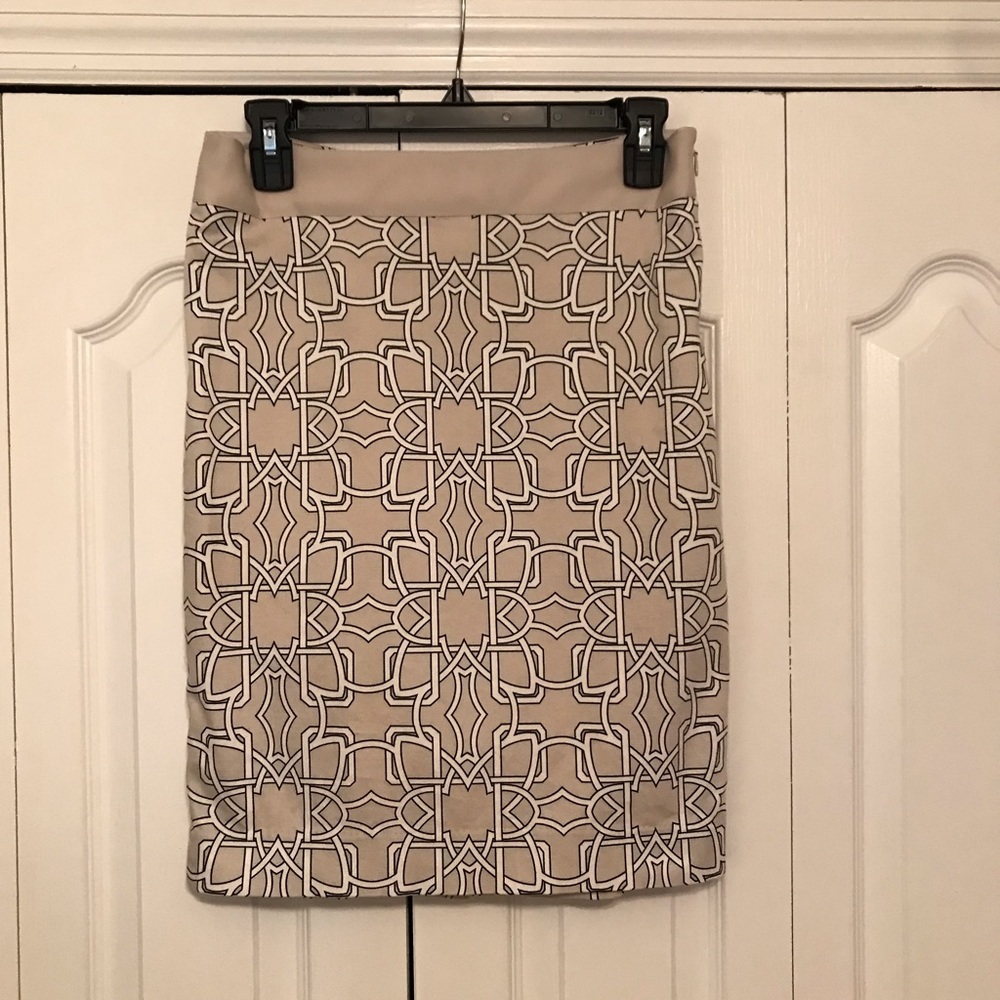 The Limited Skirt